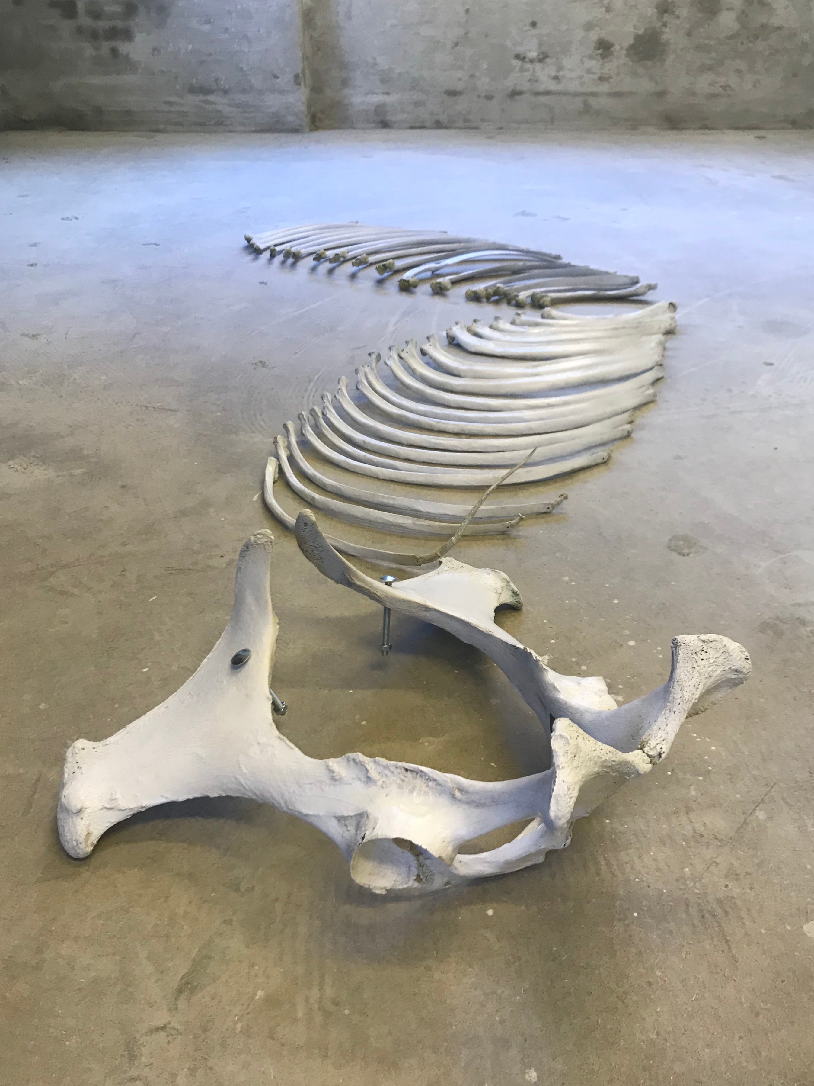 NinnaYork-Projects-Pegasus-Temput-Fugit_-_Skeleton.jpg